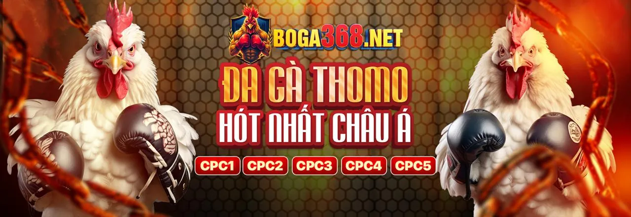 Cờ bạc có trách nhiệm tại 8k bet